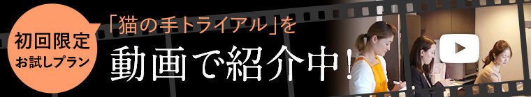 初回限定お試しプラン 「猫の手トライアル」を動画で紹介中!