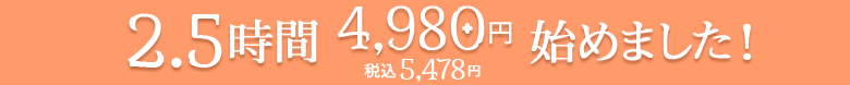 大人気!猫の手トライアル 2.5時間 4,980円 始めました!